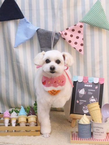 20250524うみちゃん